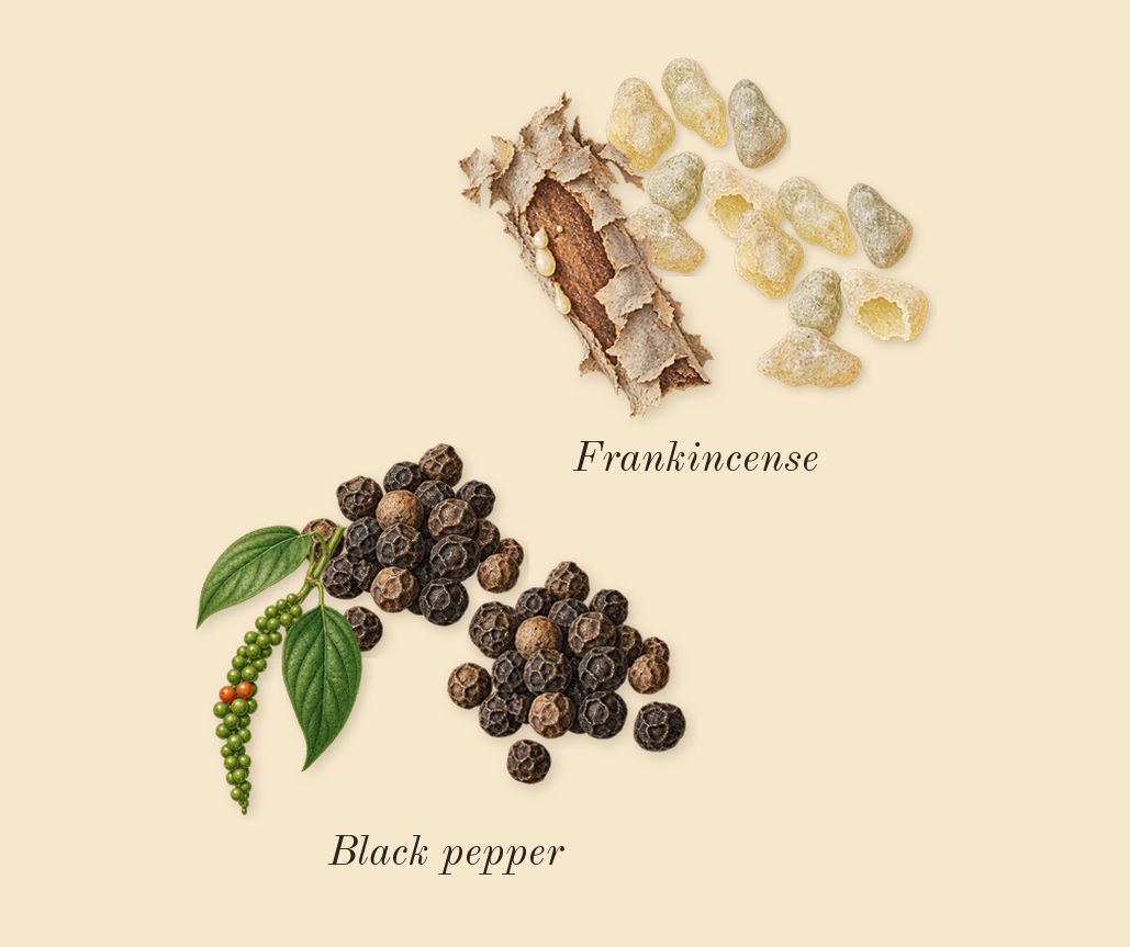 Oud 27, top notes: Frankincense, Black pepper