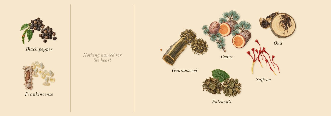 Oud 27’s scent picture, a draft: oud, cedar, frankincense, patchouli, black pepper, saffron drawn so far; dashed outlines where nothing is drawn yet