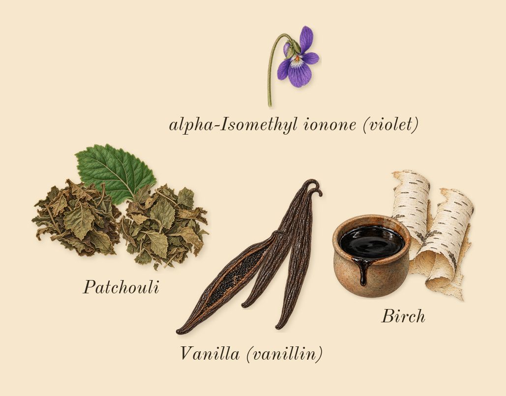 Patchouli 24, dry-down: Patchouli, Birch, Vanilla (vanillin), alpha-Isomethyl ionone (violet)