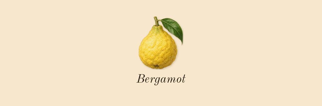 Patchouli 24, top notes: Bergamot