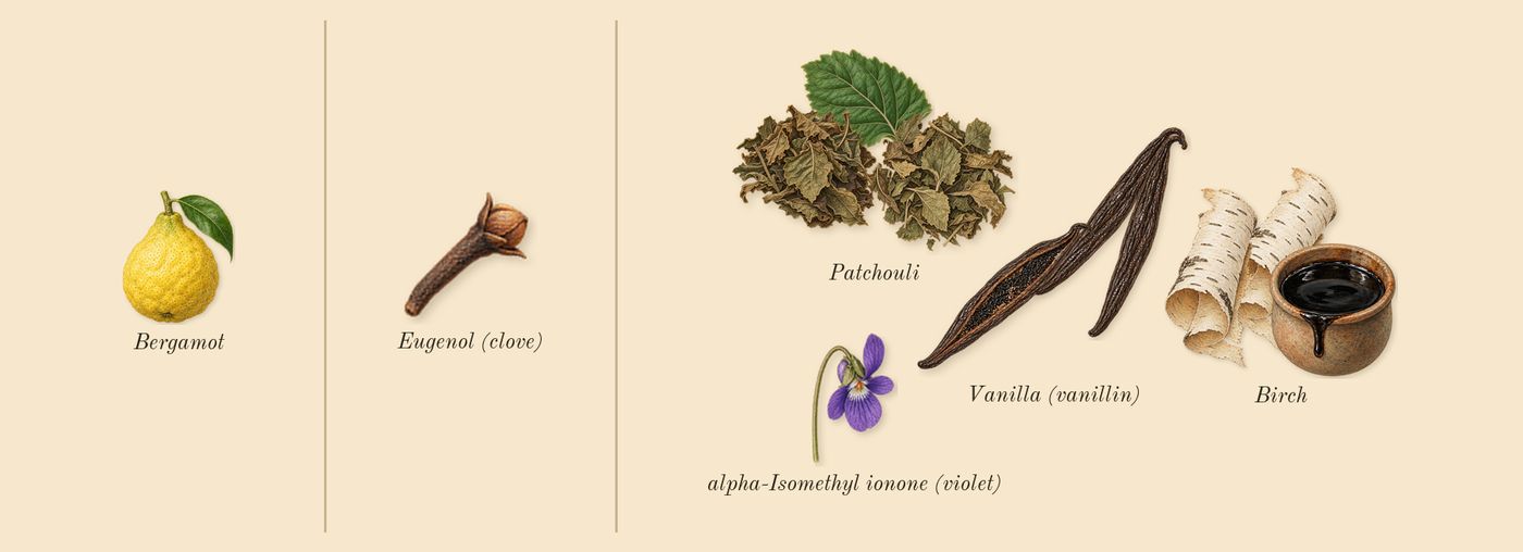 Patchouli 24’s scent picture, a draft: patchouli, birch, vanilla (vanillin), bergamot, alpha-isomethyl ionone (violet), eugenol (clove) drawn so far; dashed outlines where nothing is drawn yet