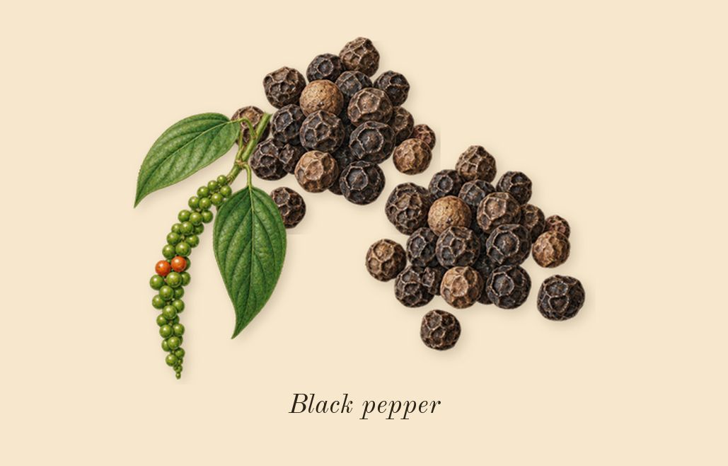 Poivre 23, top notes: Black pepper