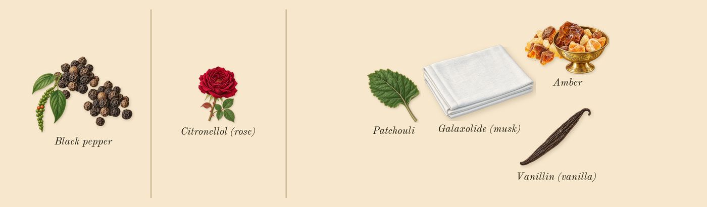Poivre 23’s scent picture, a draft: black pepper, amber, patchouli, galaxolide (musk), vanillin (vanilla), citronellol (rose) drawn so far; dashed outlines where nothing is drawn yet