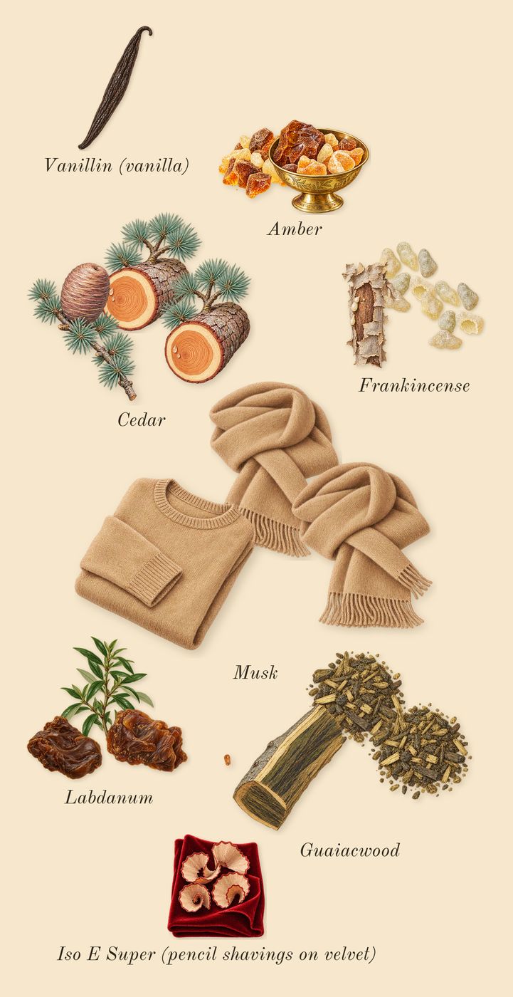 Rose 31, dry-down: Frankincense, Cedar, Amber, Guaiacwood, Labdanum, Musk, Iso E Super (pencil shavings on velvet), Vanillin (vanilla)