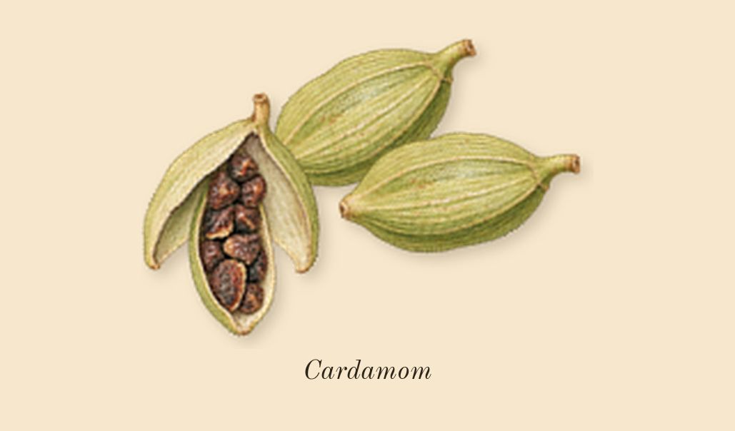 Tabac 28, top notes: Cardamom