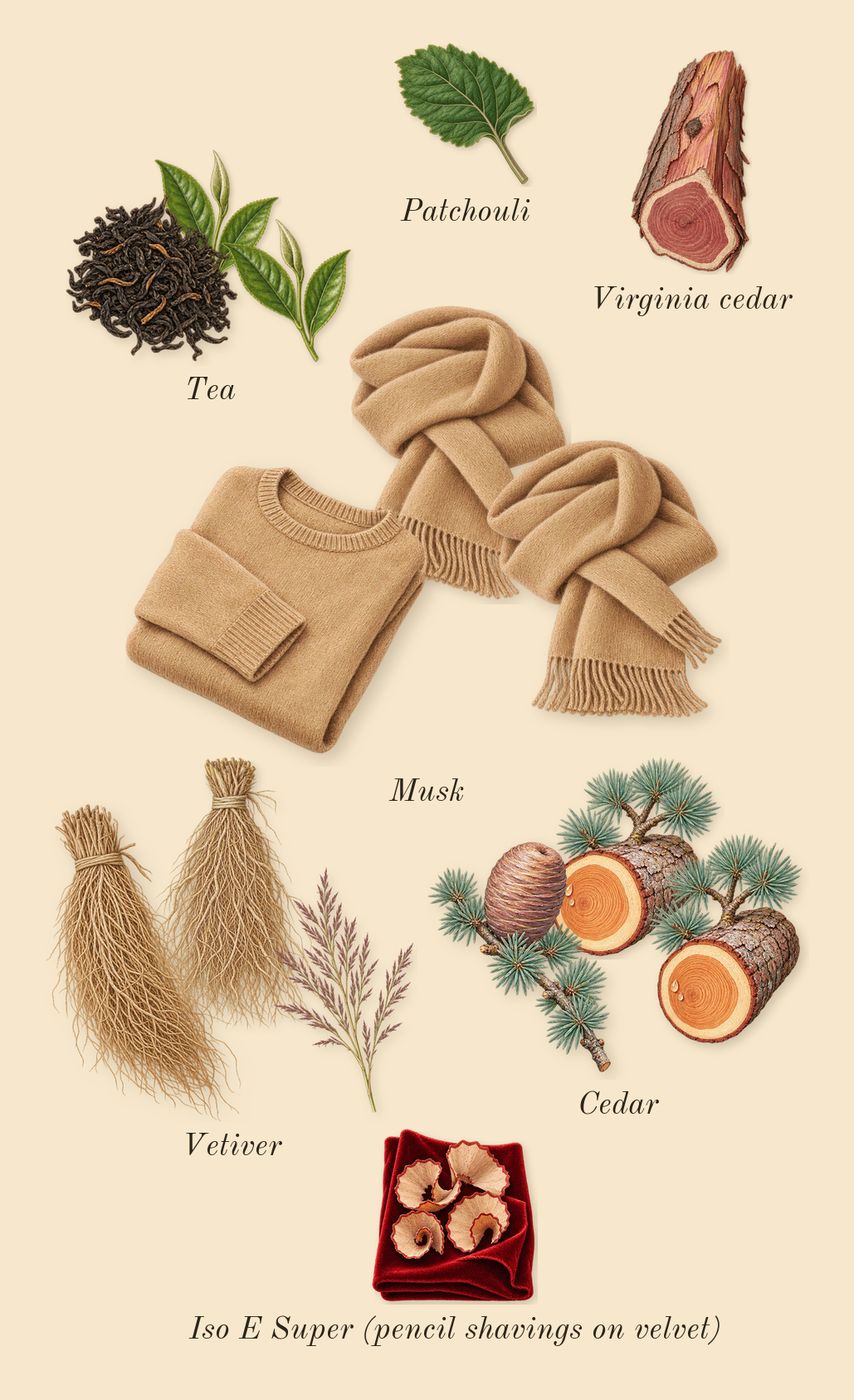Thé Noir 29, dry-down: Cedar, Vetiver, Musk, Tea, Virginia cedar, Patchouli, Iso E Super (pencil shavings on velvet)