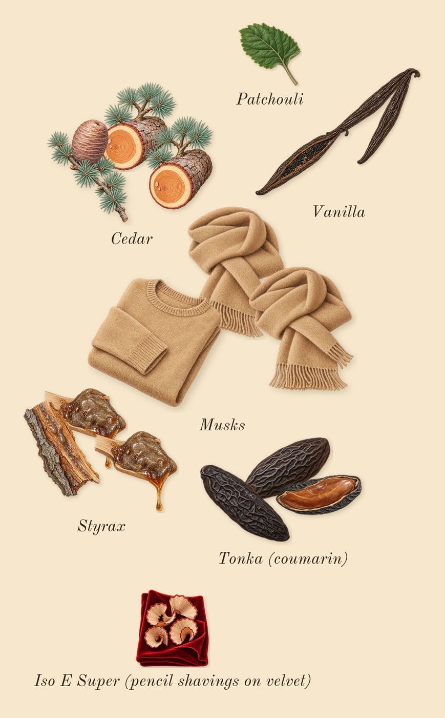 Tonka 25, dry-down: Cedar, Styrax, Tonka (coumarin), Musks, Vanilla, Patchouli, Iso E Super (pencil shavings on velvet)