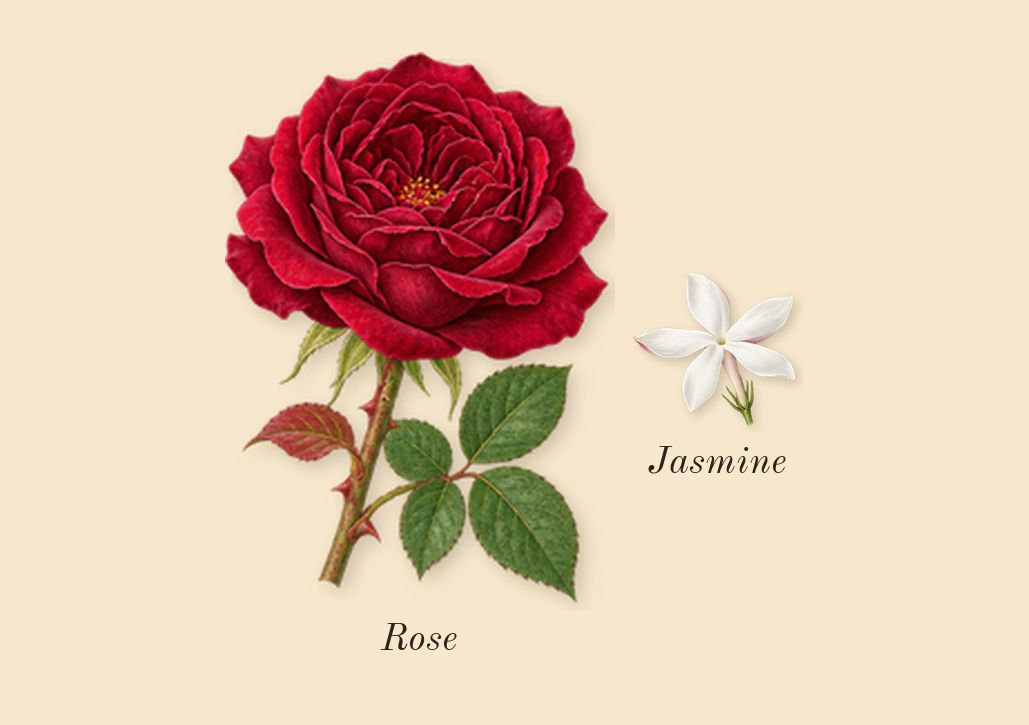 Tubéreuse 40, heart: Jasmine, Rose