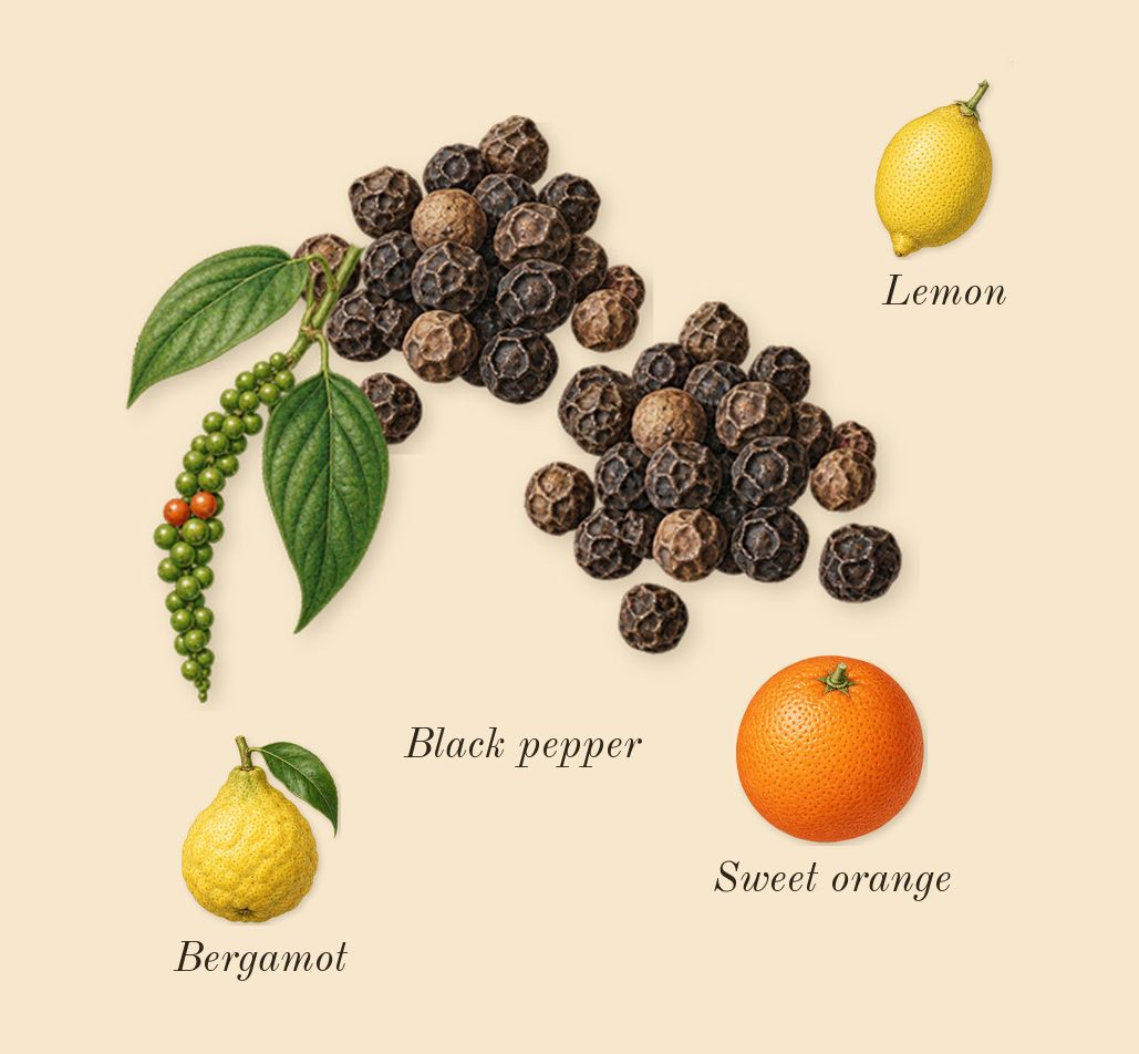 Vetiver 46, top notes: Black pepper, Sweet orange, Bergamot, Lemon