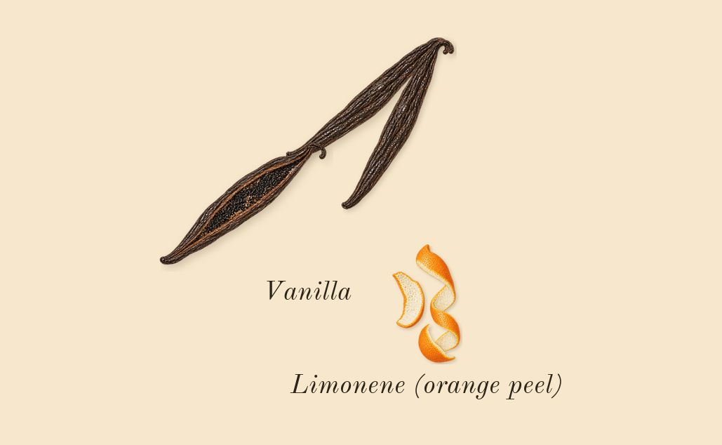 Leather Sadah, top notes: Vanilla, Limonene (orange peel)