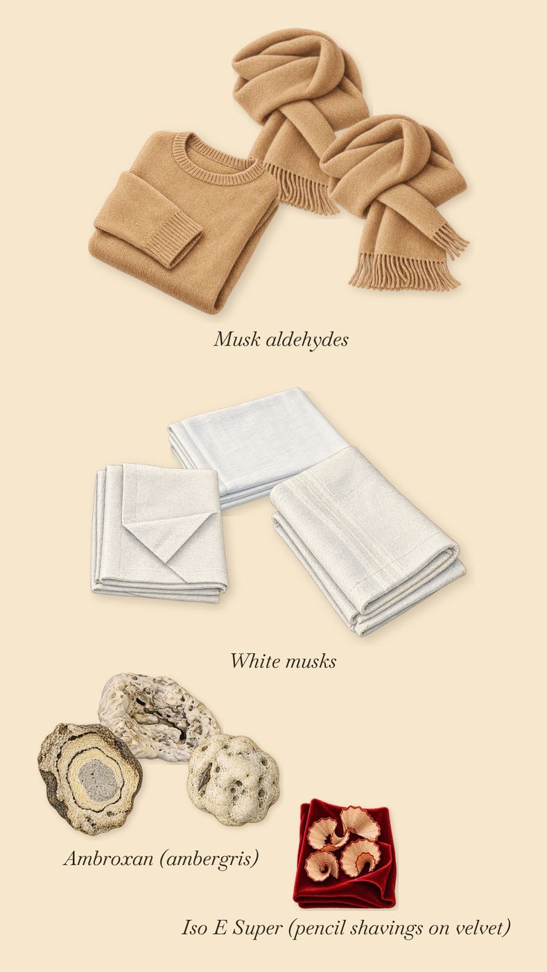 Couleur Primaire, what stays: White musks, Ambroxan (ambergris), Musk aldehydes, Iso E Super (pencil shavings on velvet)
