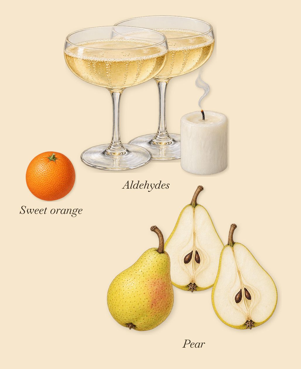 Couleur Primaire, when you spray it: Aldehydes, Pear, Sweet orange