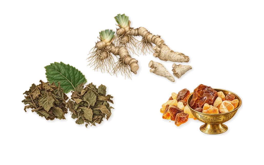 Musc des Sables, what stays: Patchouli, Amber, Iris