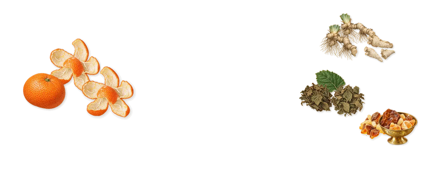 Musc des Sables’s scent picture, a draft: mandarin, patchouli, amber, iris drawn so far; dashed outlines where nothing is drawn yet