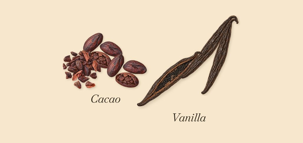 Vanille Havane, what stays: Vanilla, Cacao