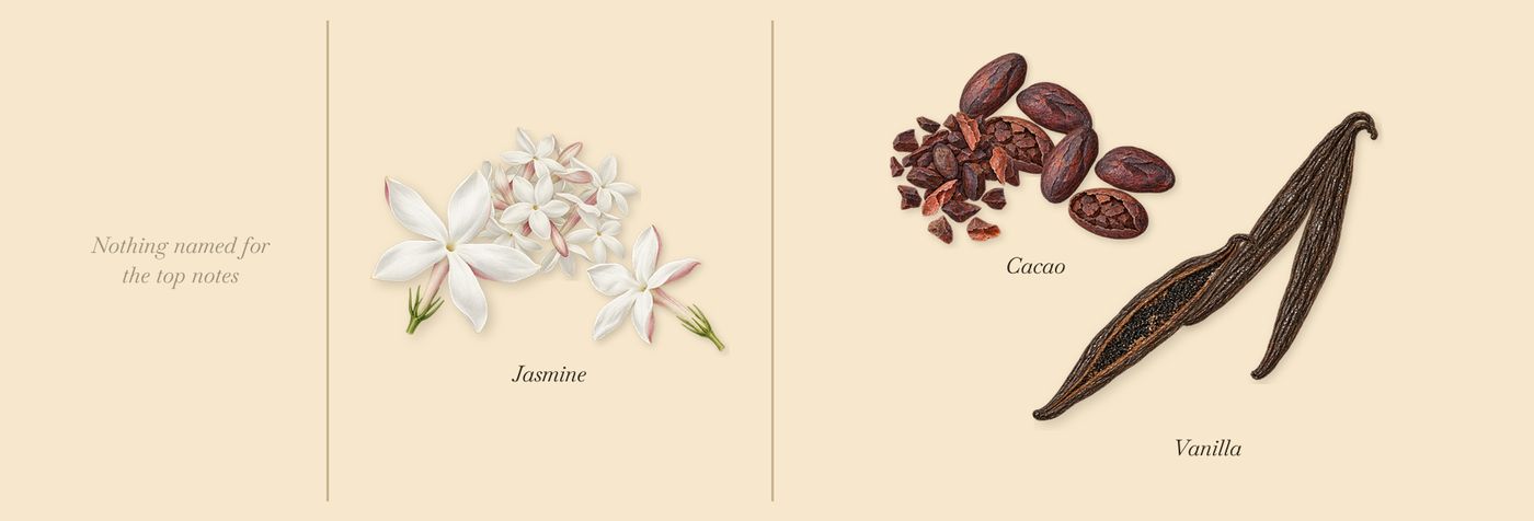 Vanille Havane’s scent picture, a draft: vanilla, cacao, jasmine drawn so far; dashed outlines where nothing is drawn yet