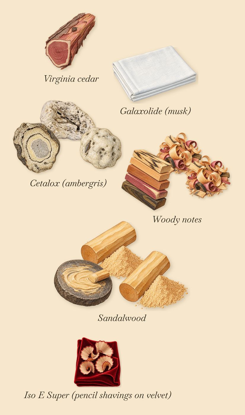 Adelphi Sun, what stays: Sandalwood, Woody notes, Cetalox (ambergris), Virginia cedar, Iso E Super (pencil shavings on velvet), Galaxolide (musk)