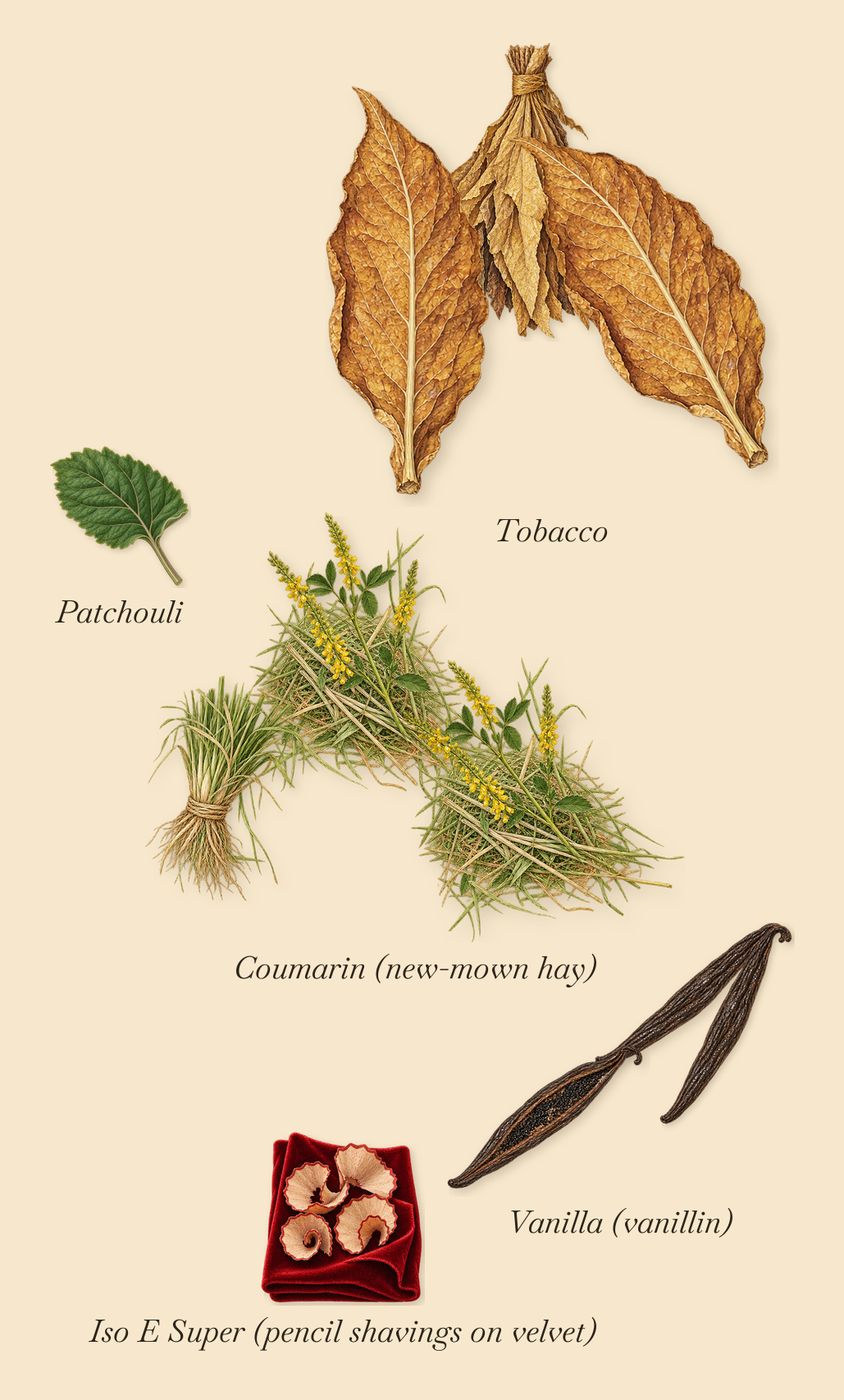 Liberty 1875, what stays: Coumarin (new-mown hay), Tobacco, Vanilla (vanillin), Patchouli, Iso E Super (pencil shavings on velvet)