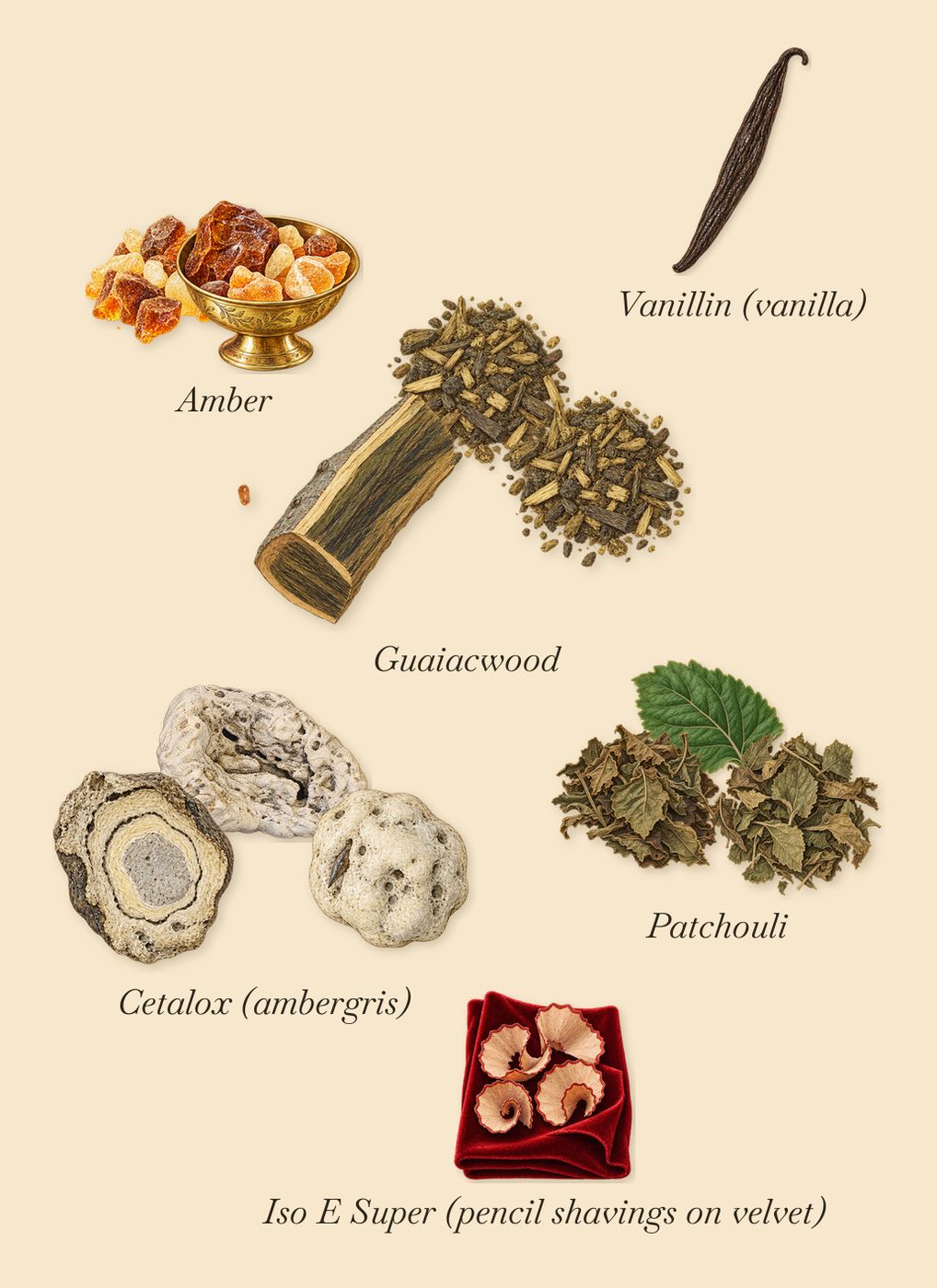 Wild Rosinda, what stays: Guaiacwood, Patchouli, Amber, Cetalox (ambergris), Iso E Super (pencil shavings on velvet), Vanillin (vanilla)