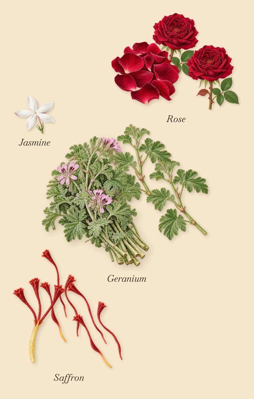 Wild Rosinda, as it settles: Rose, Saffron, Geranium, Jasmine