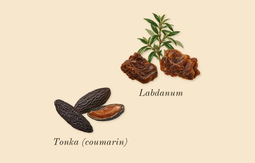 Celestial Object, dry-down: Labdanum, Tonka (coumarin)