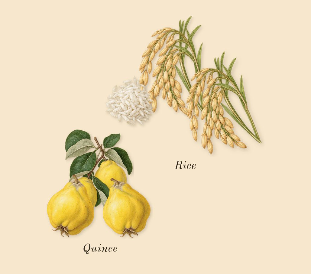 Celestial Object, heart: Quince, Rice