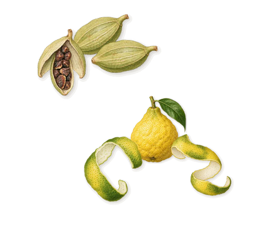Ethereal Wave, when you spray it: Bergamot, Cardamom