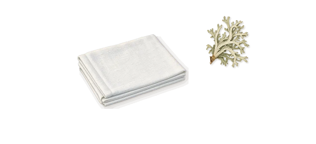 Flower Glyph, what stays: Oakmoss, Hexadecanolactone (musk)