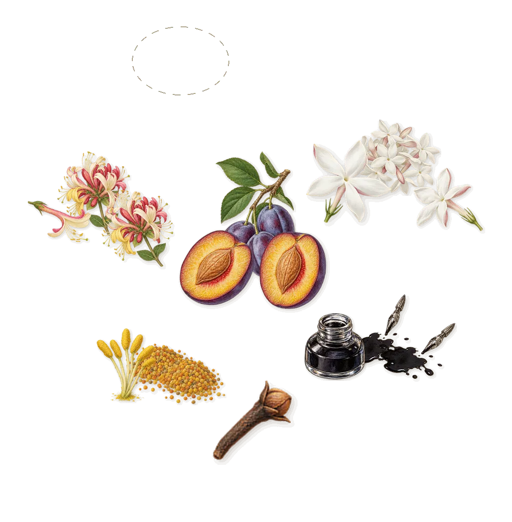 Flower Glyph, as it settles: Iridescent ink, Honeysuckle, Mirabelle plums, Jasmine, Pollen, Plum, Clove