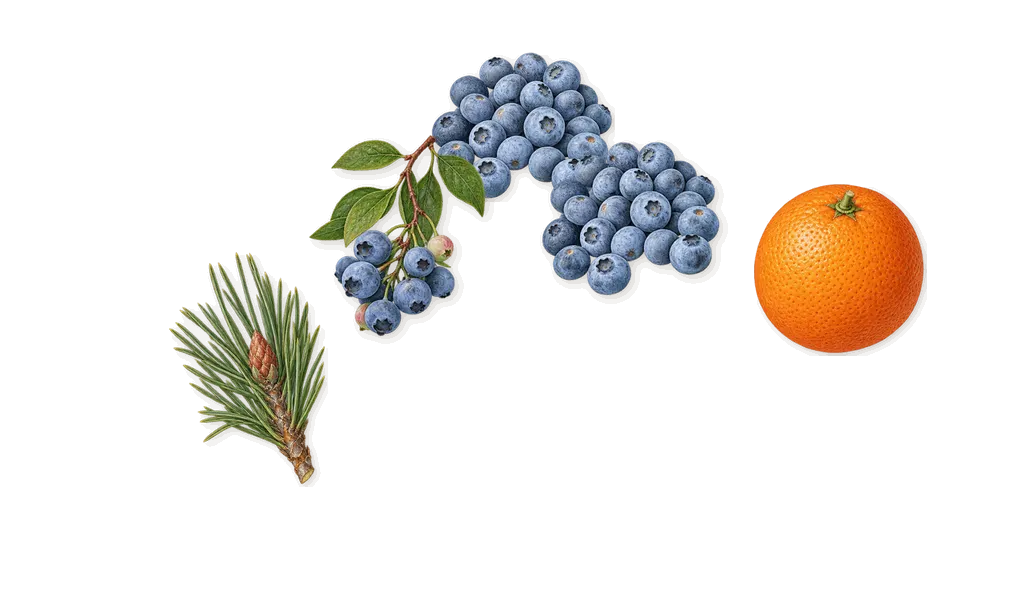 Flower Glyph, when you spray it: Blueberry, Sweet orange, Pinene (pine needles)