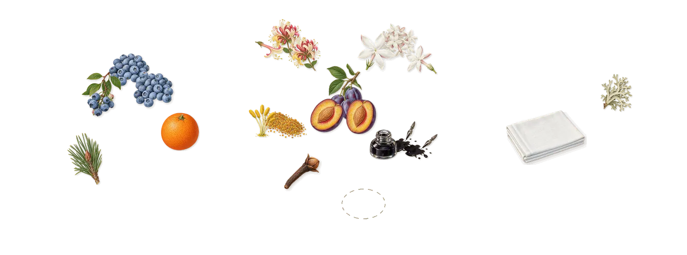Flower Glyph’s scent picture, a draft: iridescent ink, blueberry, honeysuckle, jasmine, pollen, plum drawn so far; dashed outlines where nothing is drawn yet