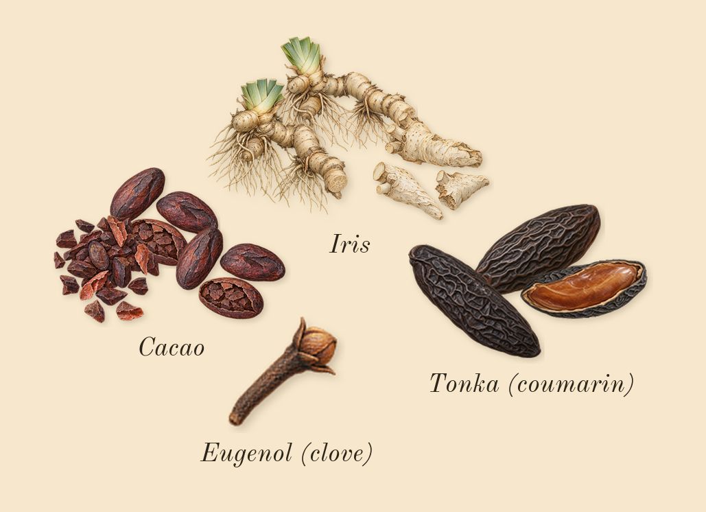 Lilac Love, heart: Iris, Cacao, Tonka (coumarin), Eugenol (clove)