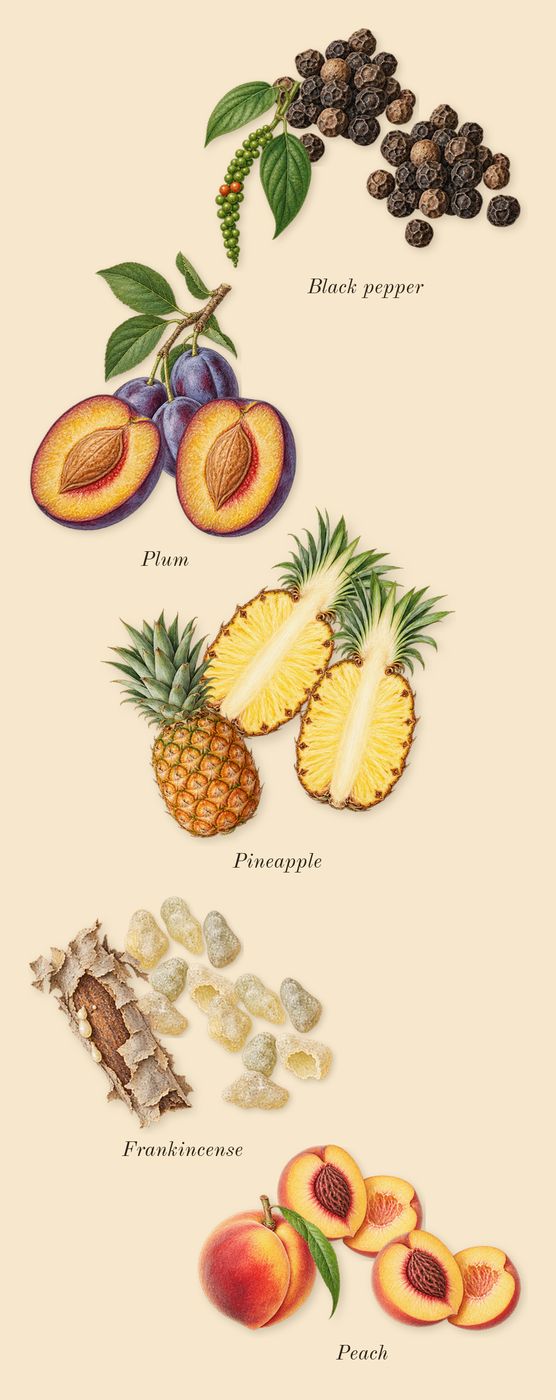 Line 618, top notes: Frankincense, Black pepper, Pineapple, Peach, Plum