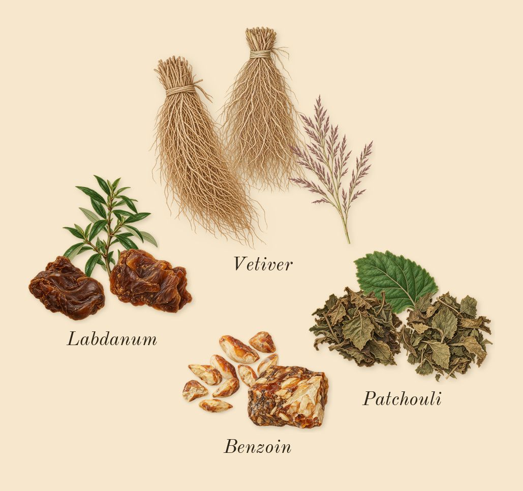 Lineage, dry-down: Vetiver, Patchouli, Benzoin, Labdanum