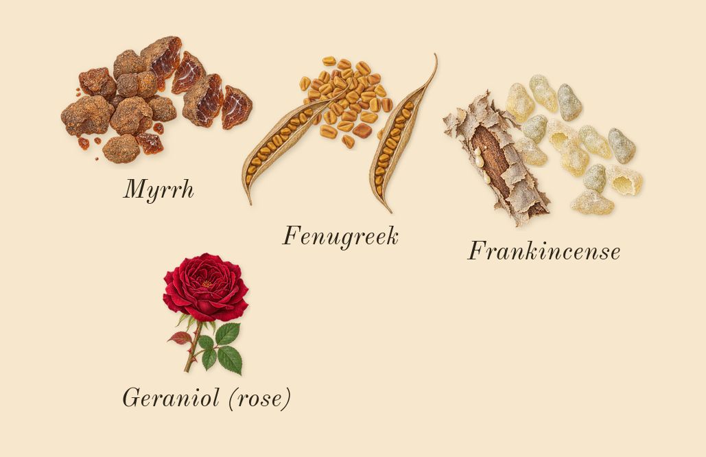 Lineage, heart: Frankincense, Fenugreek, Myrrh, Geraniol (rose)