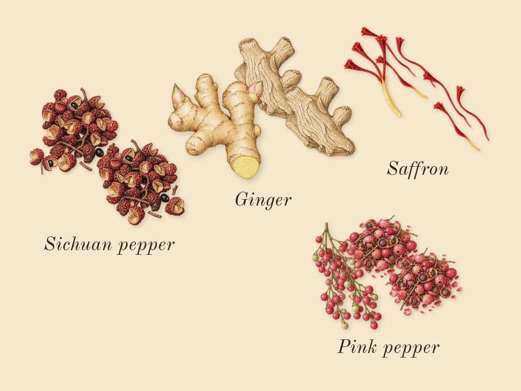 Lineage, top notes: Ginger, Sichuan pepper, Pink pepper, Saffron
