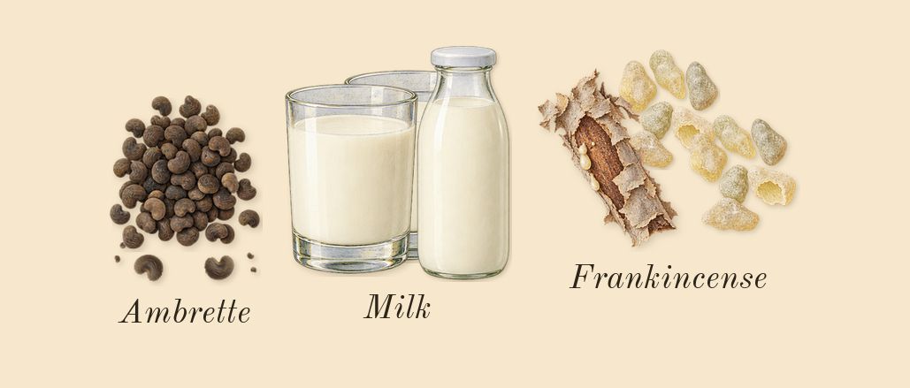 Blanche Bête, top notes: Ambrette, Milk, Frankincense