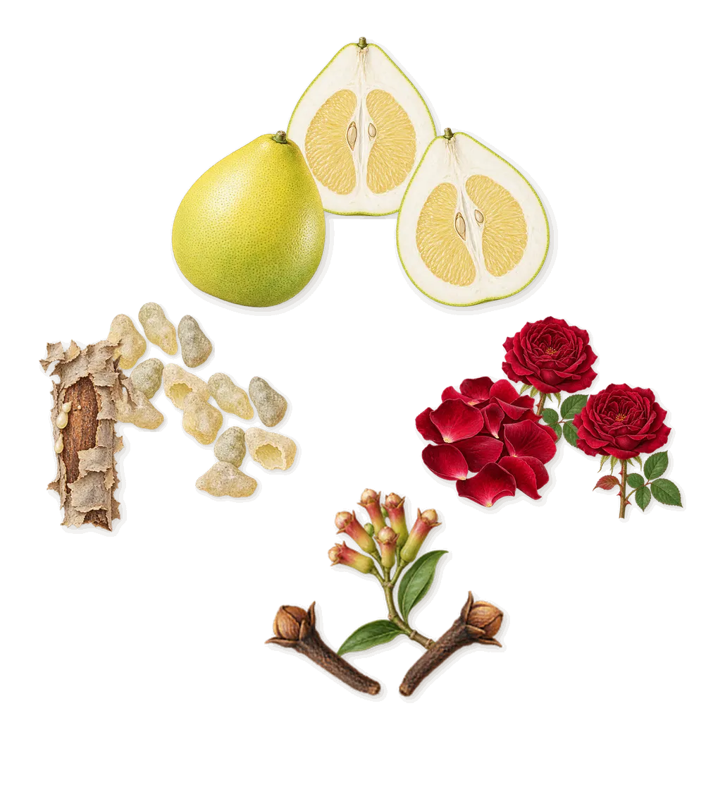 Dom Rosa, as it settles: Rose, Clove, Frankincense, Pomelo