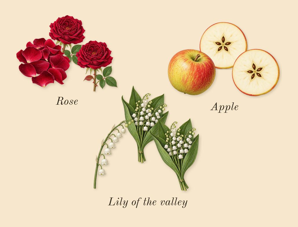 7, heart: Apple, Lily of the valley, Rose