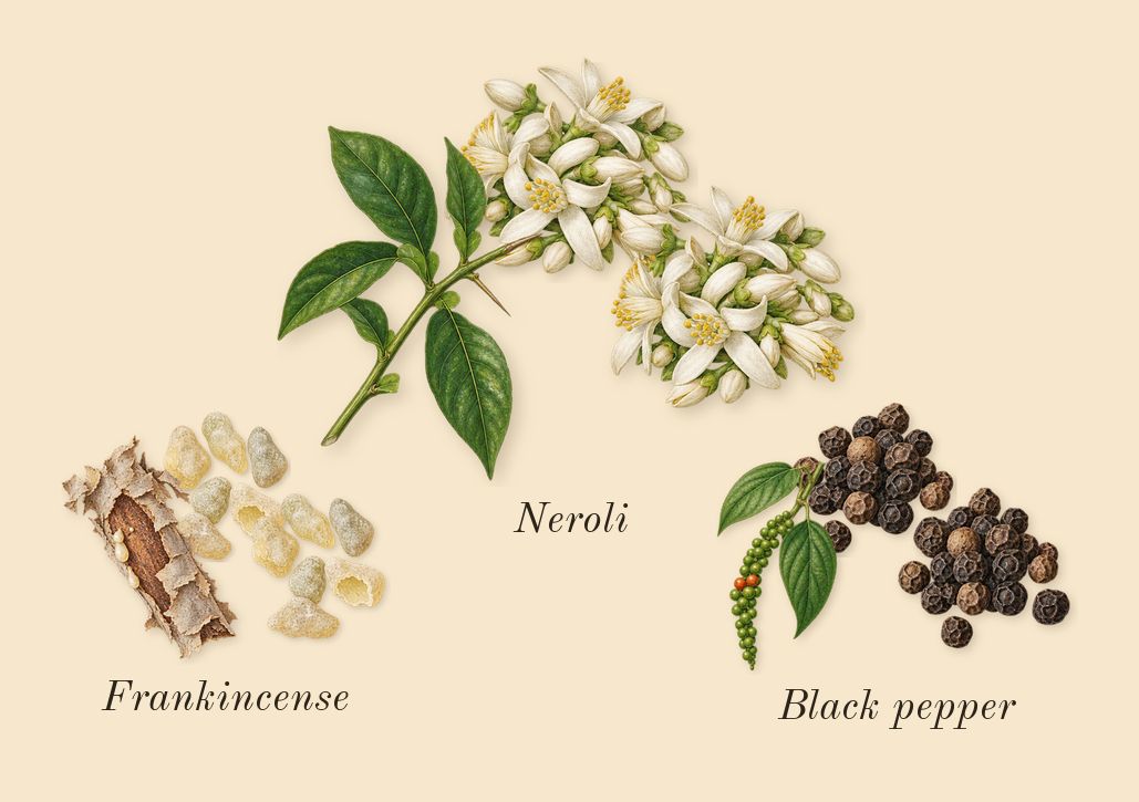 7, top notes: Frankincense, Black pepper, Neroli