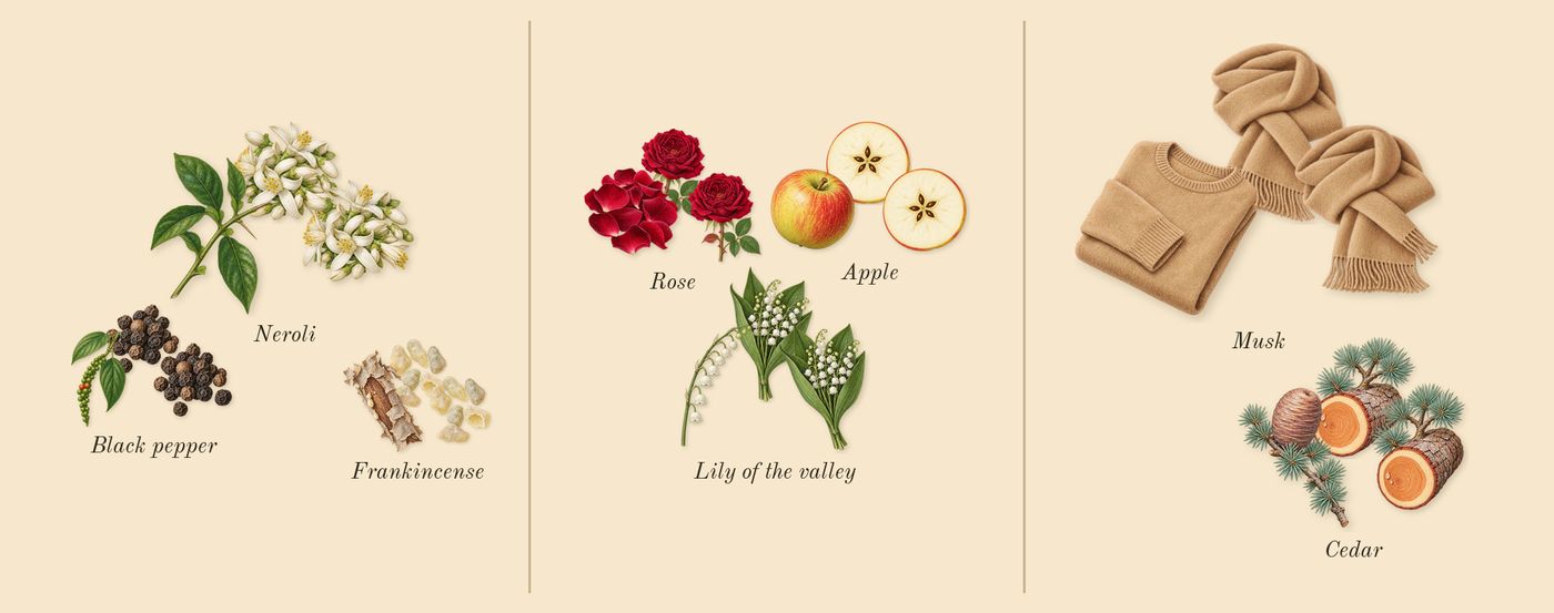 7’s scent picture, a draft: frankincense, black pepper, apple, neroli, lily of the valley, rose drawn so far; dashed outlines where nothing is drawn yet