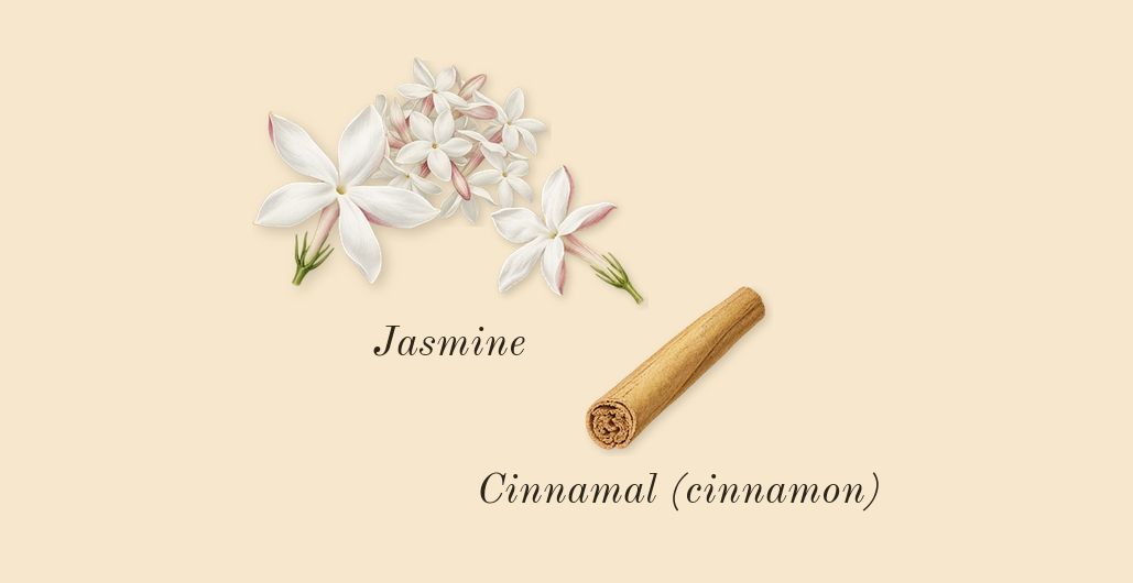 Aire, heart: Jasmine, Cinnamal (cinnamon)
