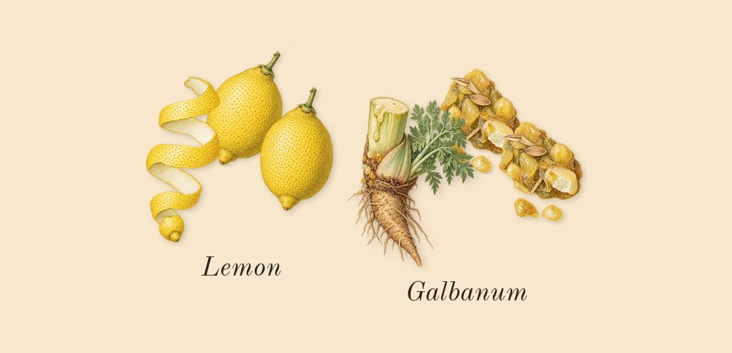 Aire, top notes: Lemon, Galbanum