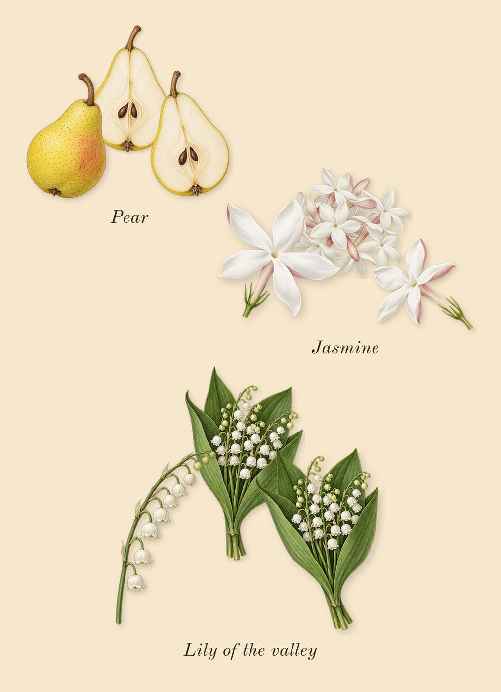 Aire Sutileza, heart: Pear, Lily of the valley, Jasmine