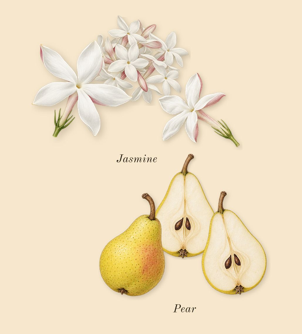Aire Sutileza Elixir, heart: Pear, Jasmine