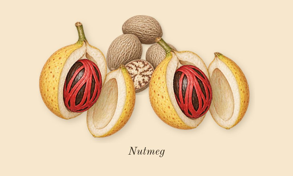 Solo Cedro, heart: Nutmeg