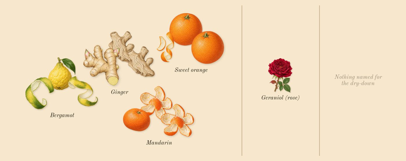 Afternoon Swim’s scent picture, a draft: bergamot, sweet orange, ginger, mandarin, geraniol (rose) drawn so far; dashed outlines where nothing is drawn yet