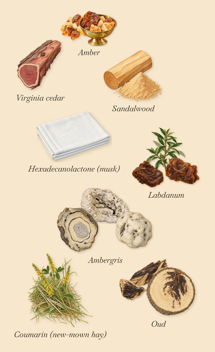 Ambre Levant, what stays: Oud, Ambergris, Amber, Labdanum, Virginia cedar, Sandalwood, Coumarin (new-mown hay), Hexadecanolactone (musk)