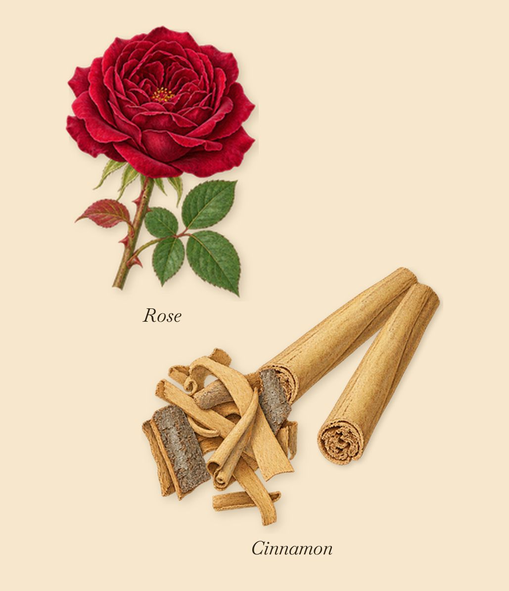 Ambre Levant, as it settles: Cinnamon, Rose