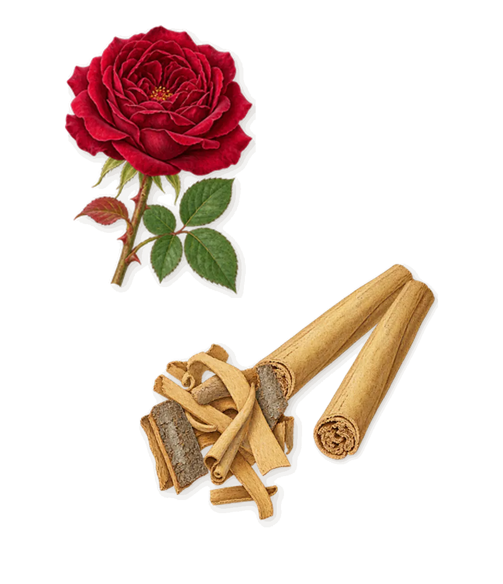 Ambre Levant, as it settles: Cinnamon, Rose